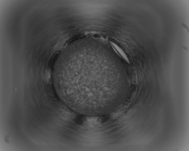 X0000091710709200709071412