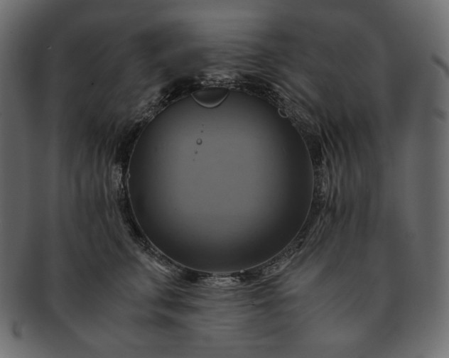 X0000091710711200709071412