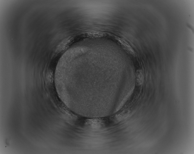 X0000091710713200709071412