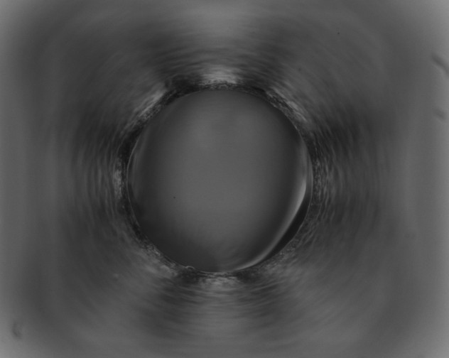 X0000091710716200709071412