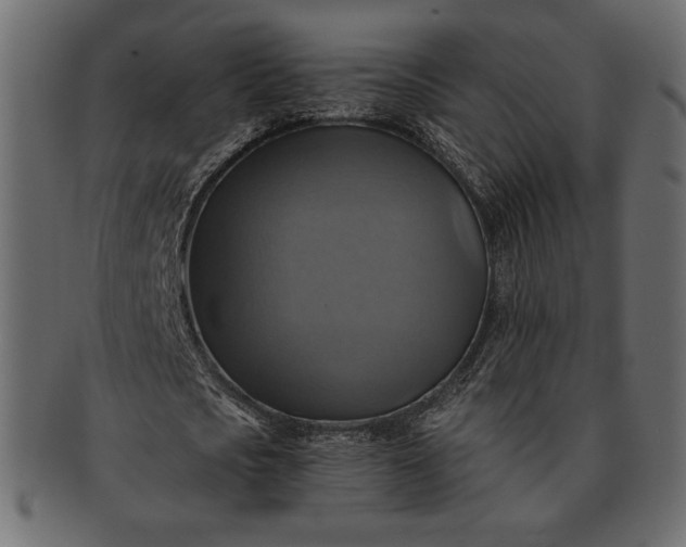 X0000091710721200709071412