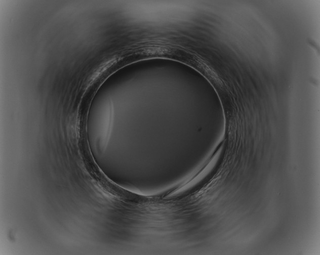 X0000091710722200709071412