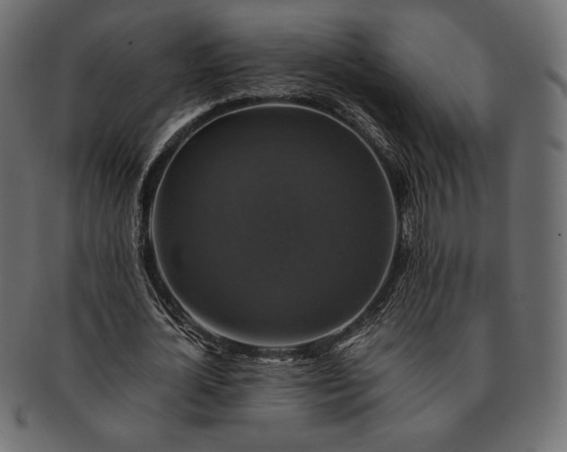 X0000091710724200709071412