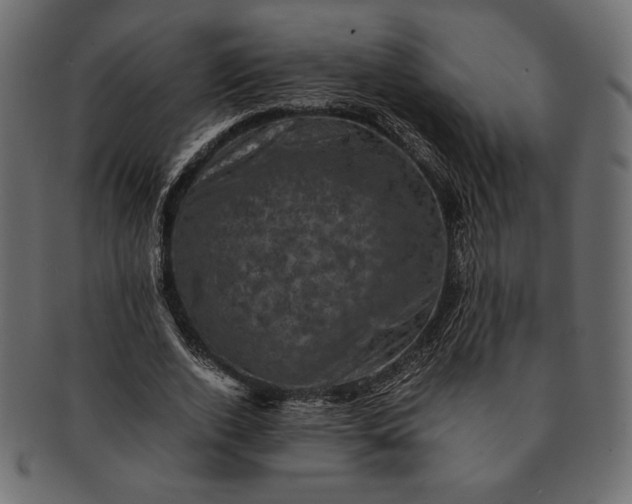 X0000091710728200709071412