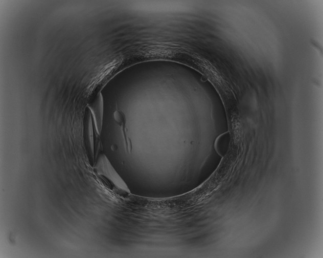 X0000091710729200709071412