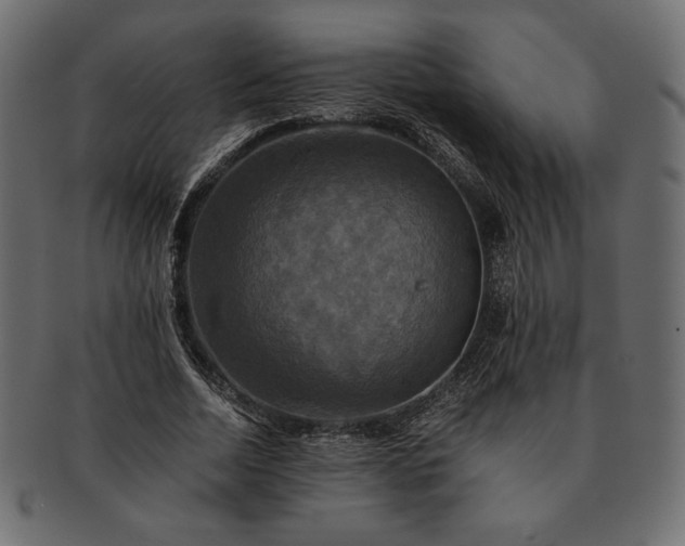 X0000091710730200709071412