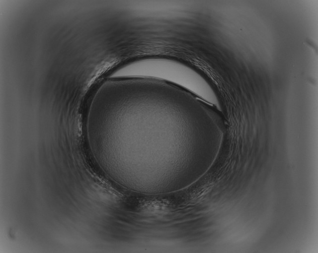 X0000091710731200709071412