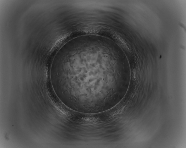 X0000091710733200709071412