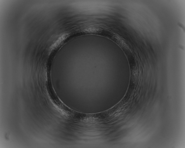 X0000091710734200709071412