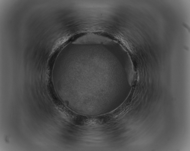 X0000091710736200709071412