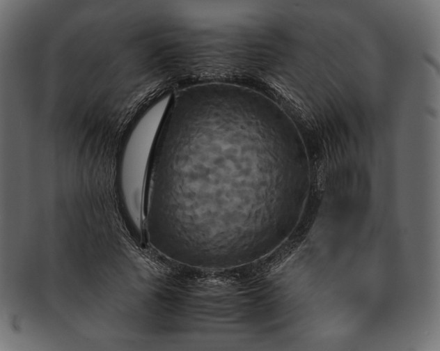 X0000091710737200709071412