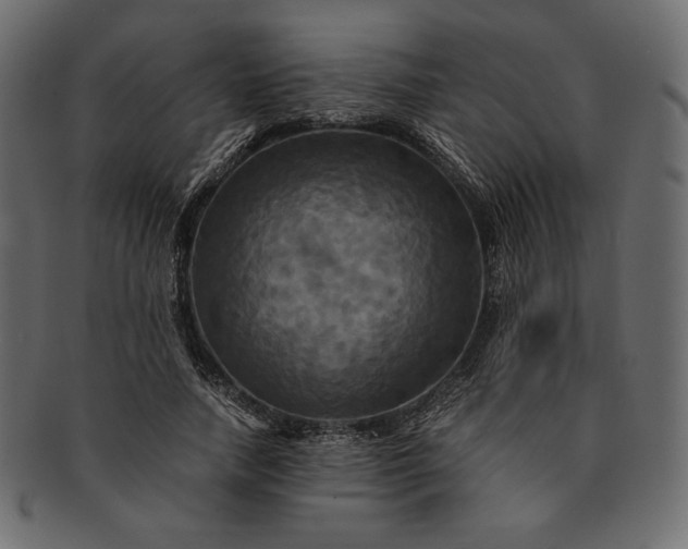 X0000091710738200709071412