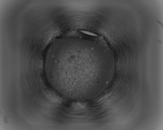 X0000091710739200709071412