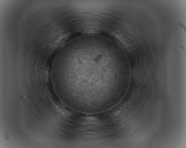 X0000091710741200709071412