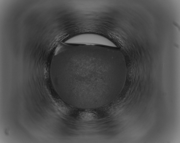 X0000091710743200709071412