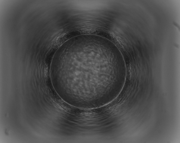 X0000091710745200709071412