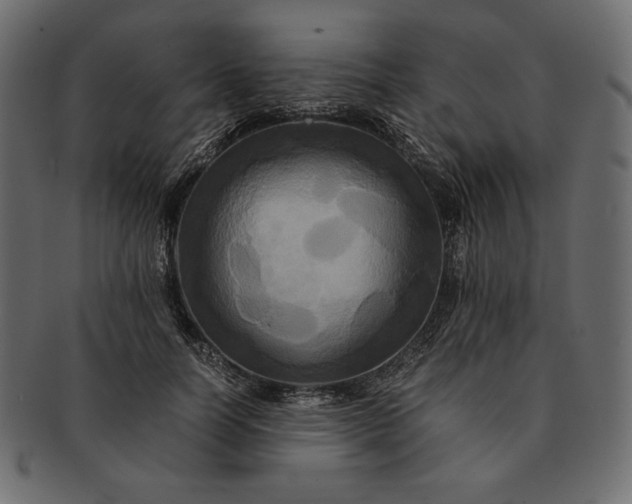 X0000091710746200709071412