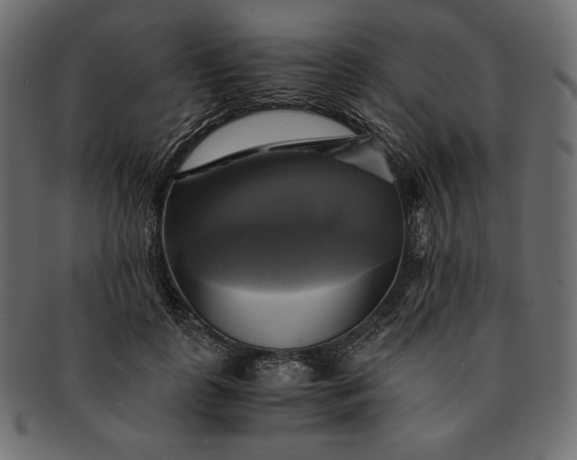 X0000091710747200709071412