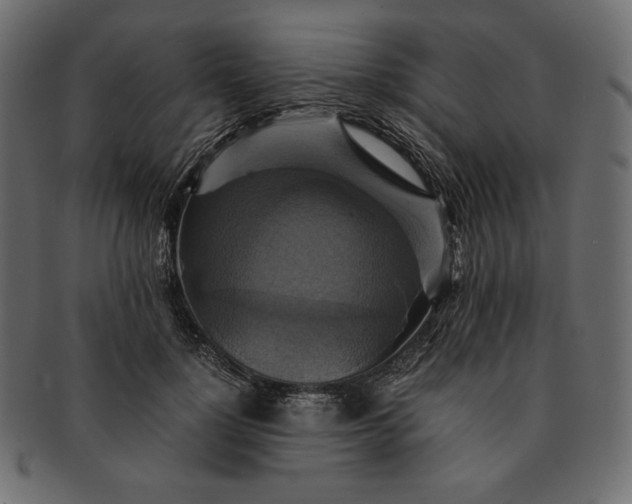 X0000091710748200709071412