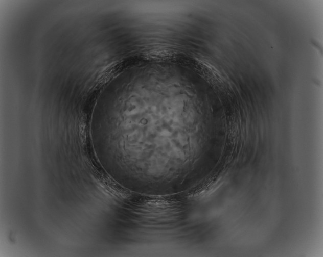 X0000091710749200709071412