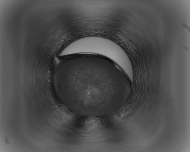 X0000091710750200709071412