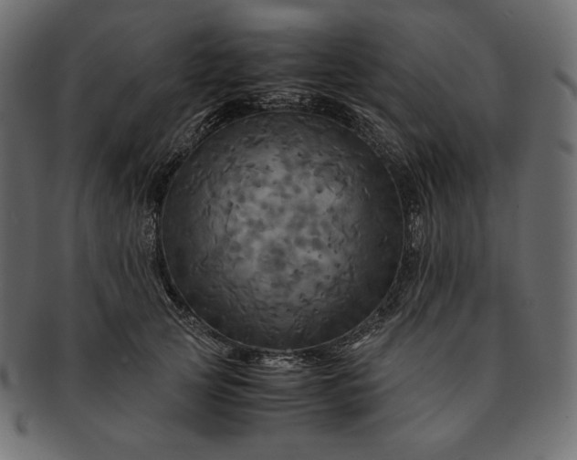 X0000091710753200709071412