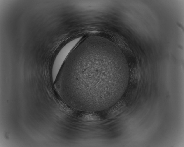 X0000091710755200709071412