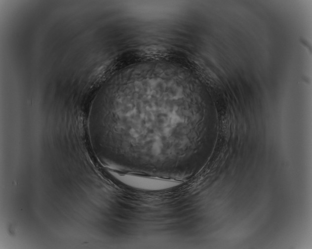 X0000091710757200709071412