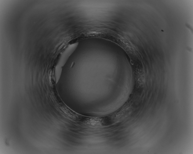 X0000091710758200709071412