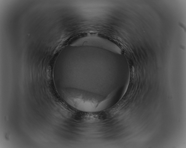 X0000091710760200709071412