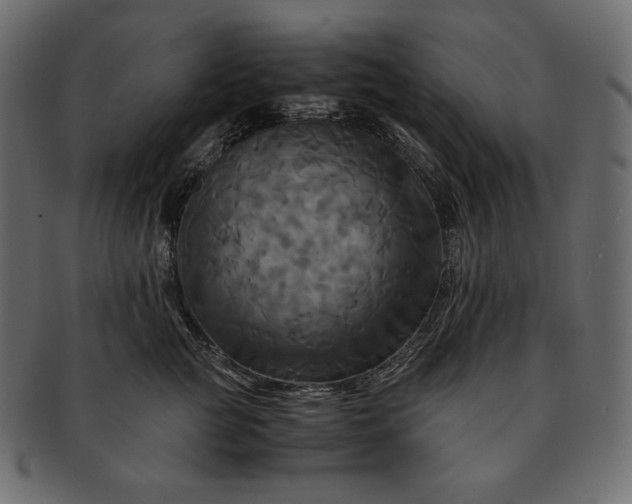 X0000091710761200709071412