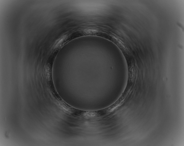 X0000091710762200709071412