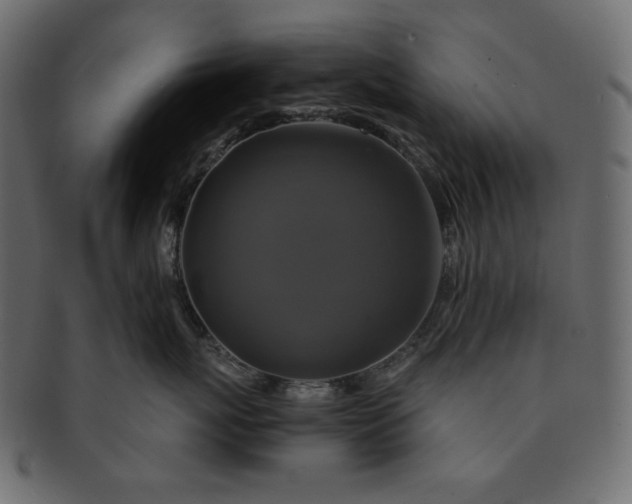 X0000091710767200709071412