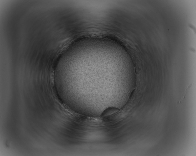 X0000091710768200709071412