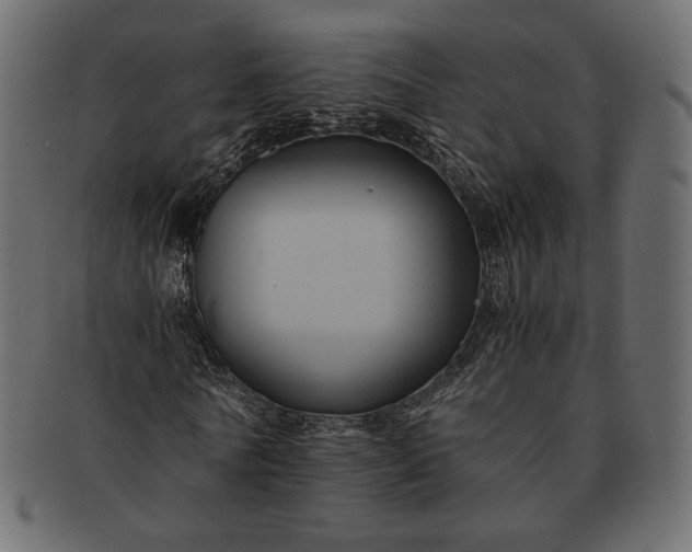 X0000091710770200709071412