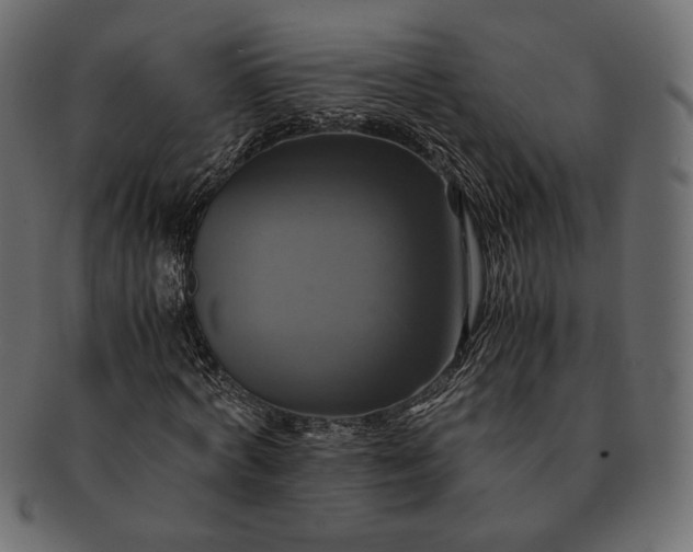 X0000091710772200709071412