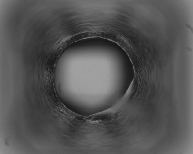 X0000091710773200709071412