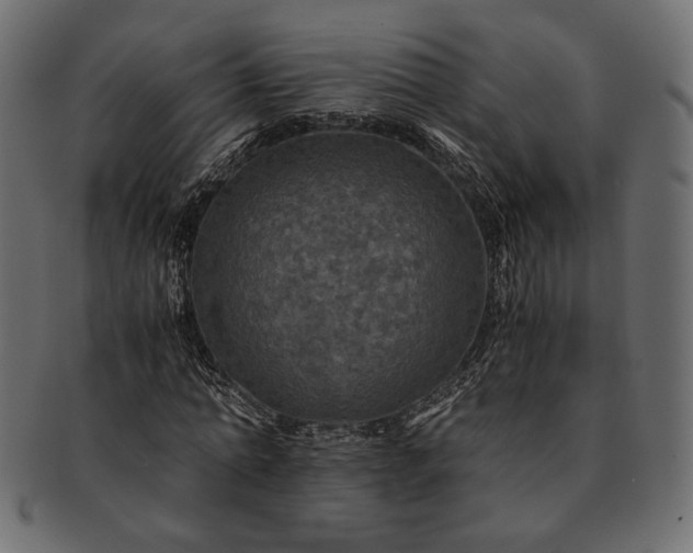 X0000091710774200709071412