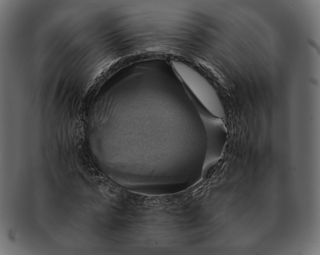 X0000091710776200709071412