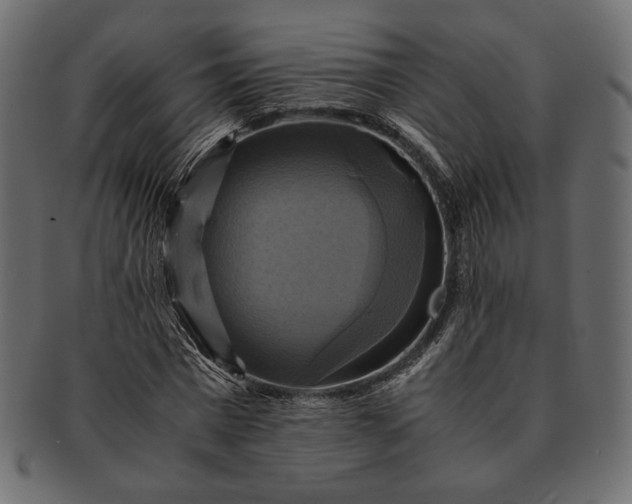 X0000091710777200709071412