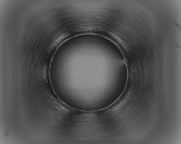 X0000091710778200709071412