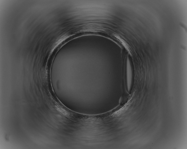 X0000091710779200709071412