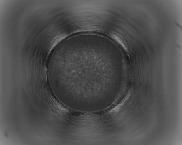 X0000091710781200709071411