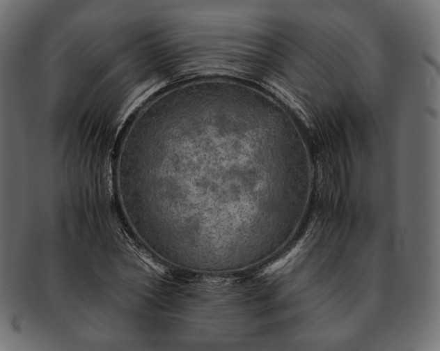 X0000091710782200709071411