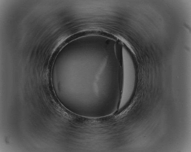 X0000091710783200709071411