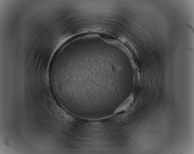 X0000091710784200709071411