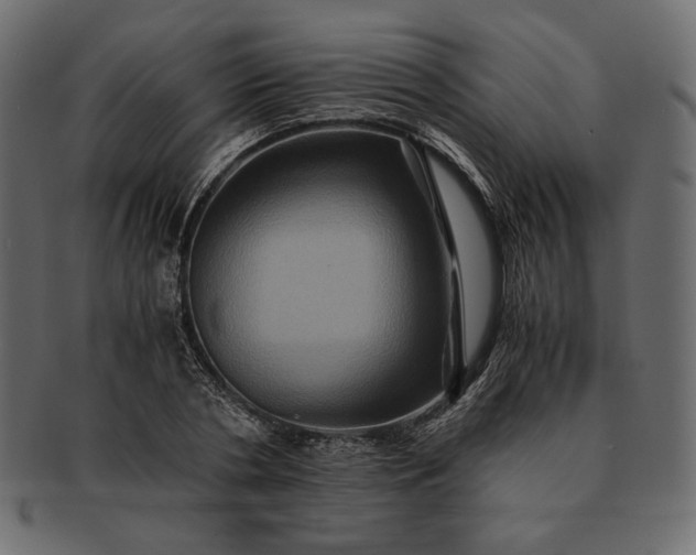 X0000091710786200709071411