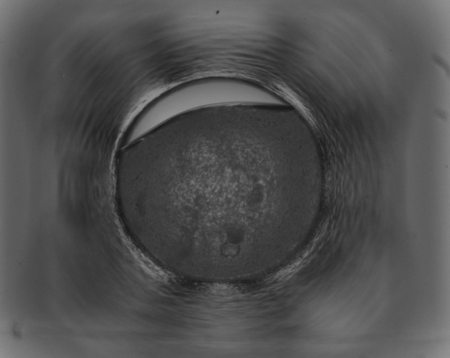 X0000091710787200709071411