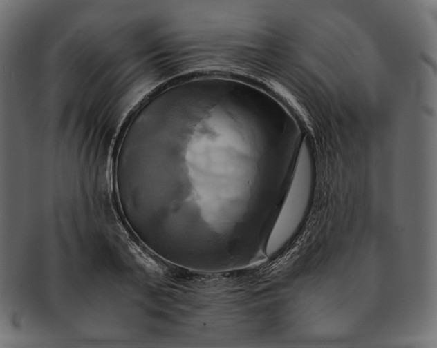 X0000091710791200709071411