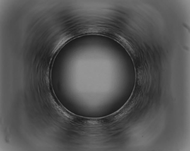 X0000091710794200709071411